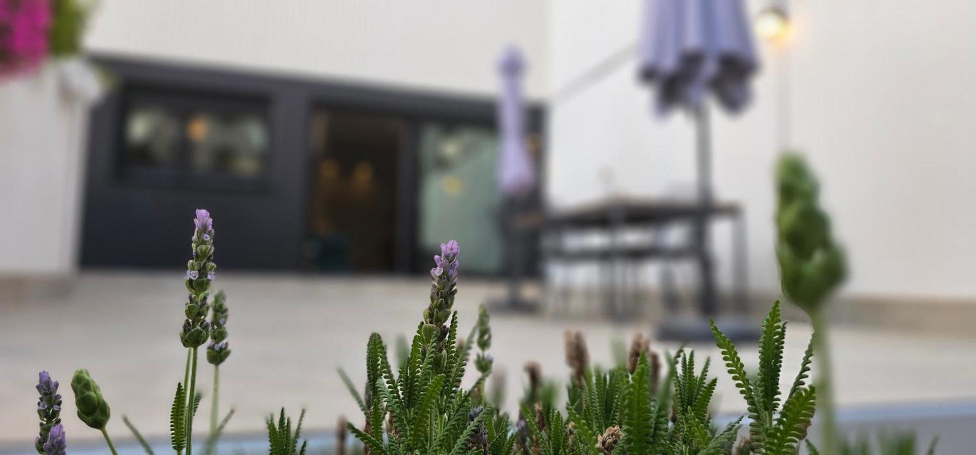 格拉纳达Albayda Garden公寓 外观 照片