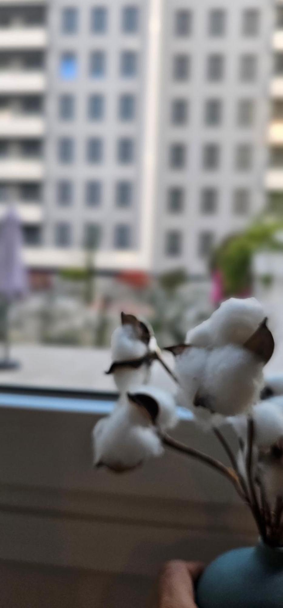格拉纳达Albayda Garden公寓 外观 照片